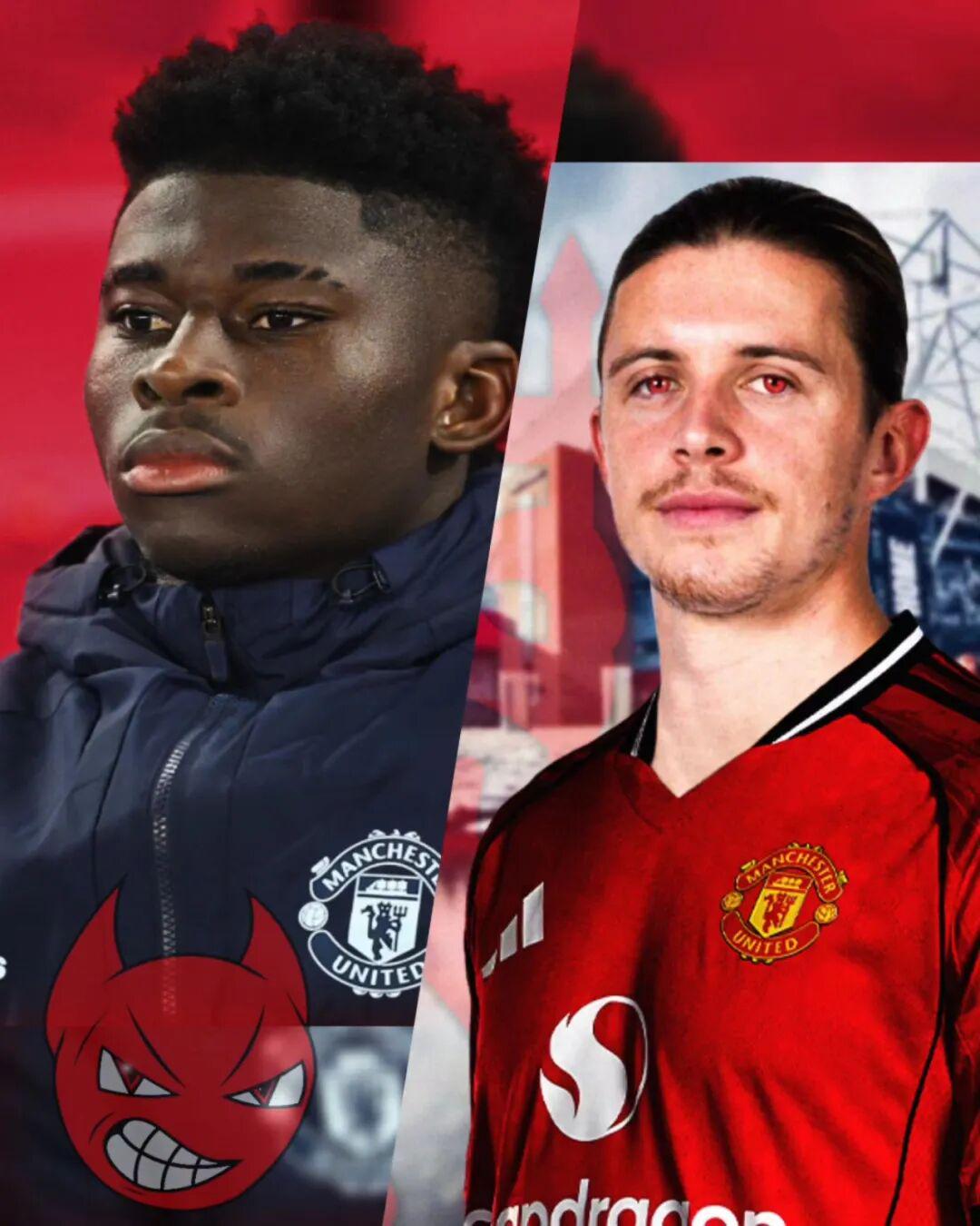 他们夏天想, 森林的埃利 他们夏天想, 森林的埃利