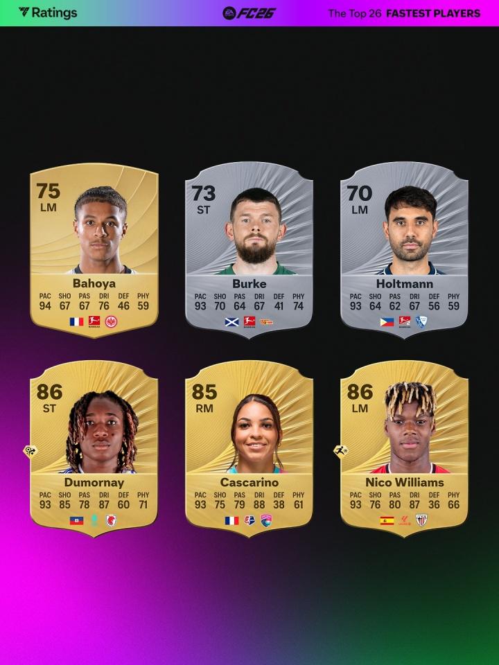 http, 多特 http, 多特